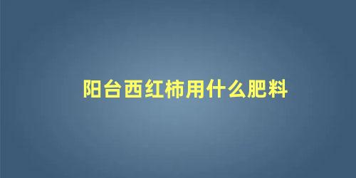 阳台西红柿用什么肥料 阳台种圣女果施什么肥