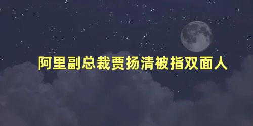 阿里副总裁贾扬清被指双面人