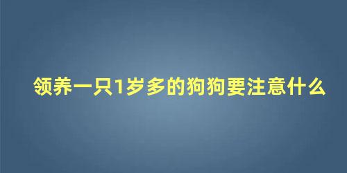 领养一只1岁多的狗狗要注意什么 小狗买回来需要注意什么