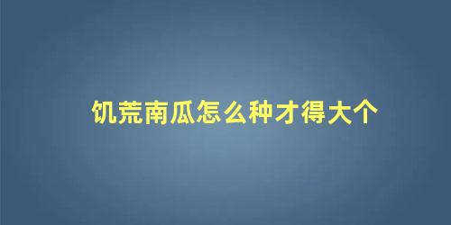 饥荒南瓜怎么种才得大个 饥荒南瓜有什么用