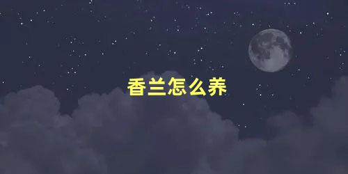 香兰怎么养 香兰花期怎么浇水