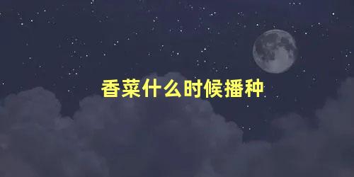 香菜什么时候播种 香菜种子怎么播种