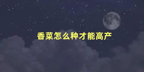 香菜怎么种才能高产 香菜怎样播种容易生长