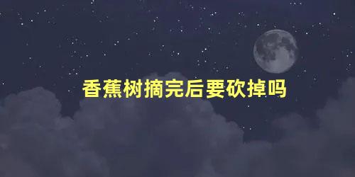 香蕉树摘完后要砍掉吗 香蕉树结果后怎么处理