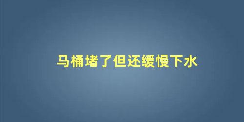 马桶堵了但还缓慢下水 马桶堵了怎么办最简单