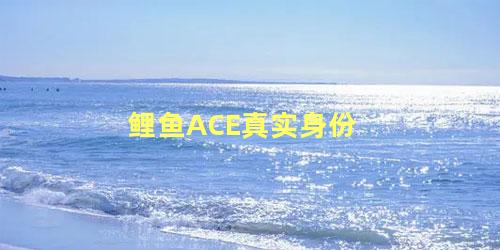 鲤鱼ACE真实身份 鲤鱼ace上清华了吗