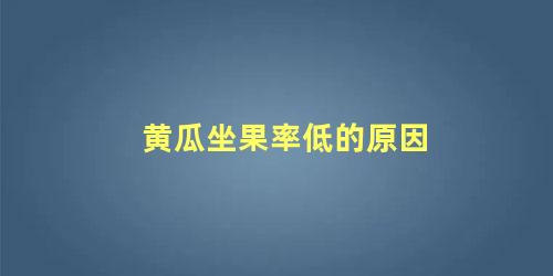 黄瓜坐果率低的原因 黄瓜坐不住瓜是什么原因