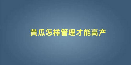 黄瓜怎样管理才能高产 黄瓜高产施肥技术要点