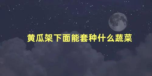 黄瓜架下面能套种什么蔬菜 黄瓜与什么轮种好