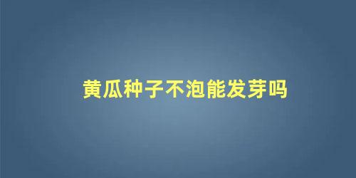 黄瓜种子不泡能发芽吗 黄瓜直接种土里几天发芽