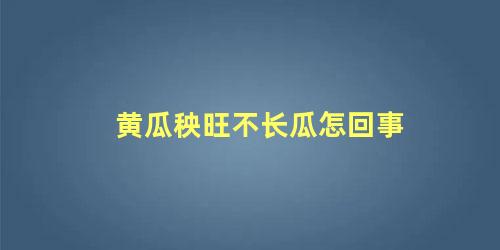 黄瓜秧旺不长瓜怎回事 黄瓜秧开花不结瓜怎么办