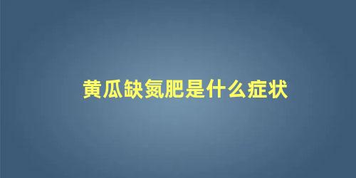 黄瓜缺氮肥是什么症状 黄瓜喜欢什么肥料