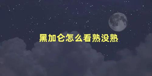 黑加仑怎么看熟没熟，黑加仑啥时候成熟