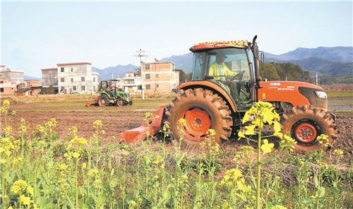 河南原阳县有序推进农村人居环境整治，生活垃圾做到日产日清