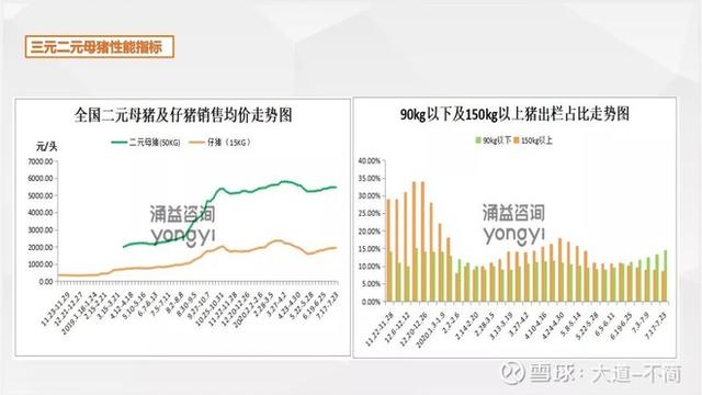 1头种猪赚5000元，天邦股份是今年业绩爆发力最强的猪肉股