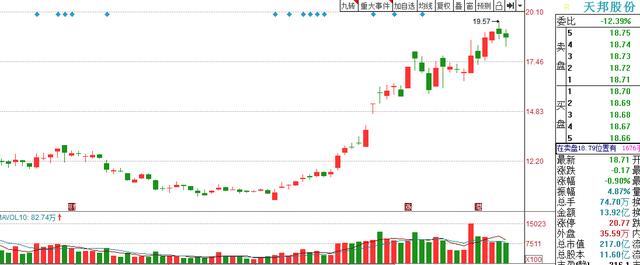 1头种猪赚5000元，天邦股份是今年业绩爆发力最强的猪肉股