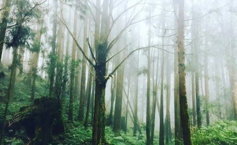 在台湾当交换生是怎样的体验？分享我的台湾交换经历