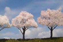 樱花树苗市场价格多少钱一棵,樱花树有哪些