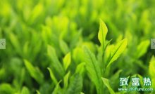 茶叶的品质鉴别,新茶和陈茶的分辨方法