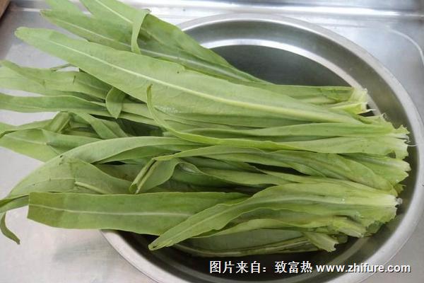 蒜蓉油麦菜的做法大全