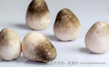 2017种草菇赚钱吗?2017种草菇前景及市场价