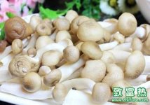 草菇的功效与作用及禁忌,草菇的营养价值、经济