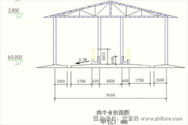 50头牛养牛场建设图片