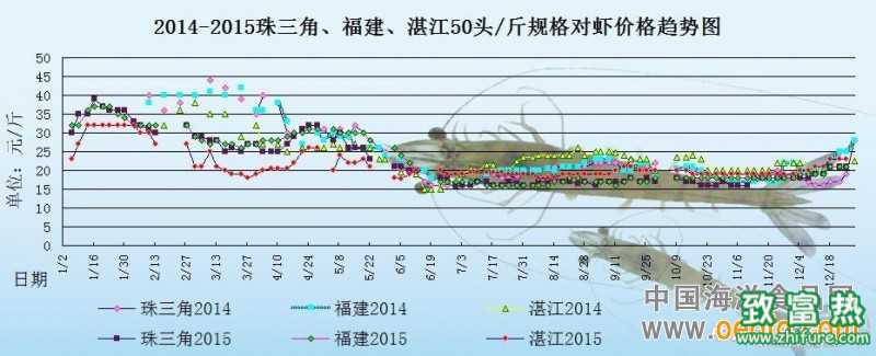 对虾价格周报：短期销量稍有波动 虾价稳中有涨