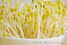 2018种豆芽赚钱吗?豆芽种植的利润与投资成