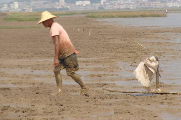 梦见沙滩和大海是什么意思 梦到粉色的沙滩有什么预兆