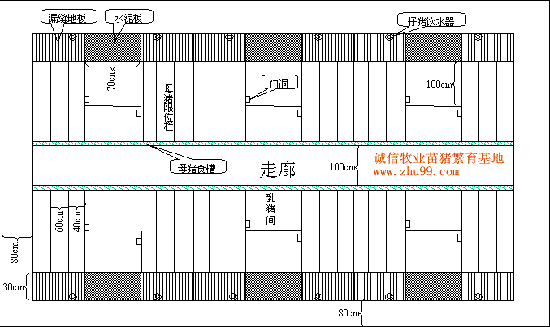 現代化養豬場設計方案