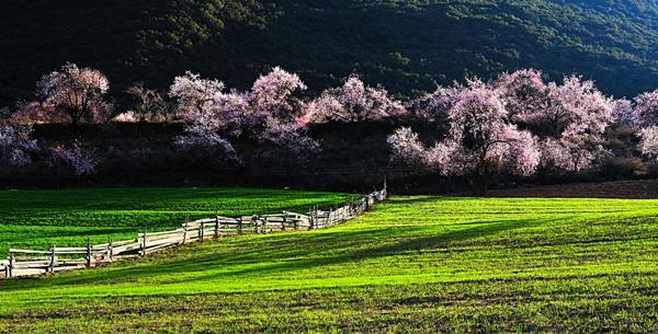 清明节旅游好去处 清明节适合去哪里自驾游玩