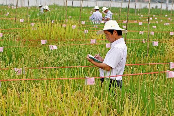 农民在农村如何致富赚钱