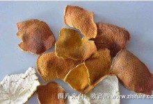 陈皮酱的详细制作方法步骤