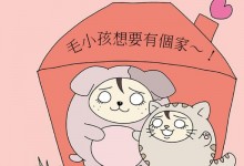 梦见领养小孩是什么意思,梦到收养小孩子有什么预兆