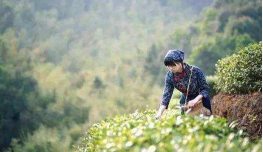 谷雨属于哪个季节（几月） 谷雨的由来