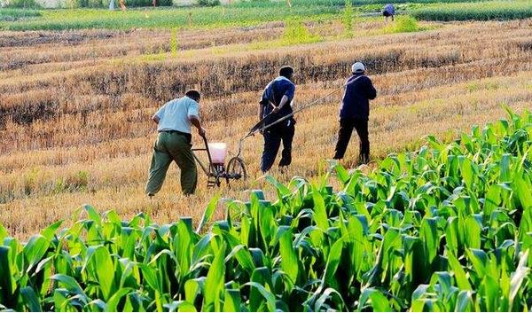 梦见种田是什么意思 女人梦到和别人一起种田有什么预兆