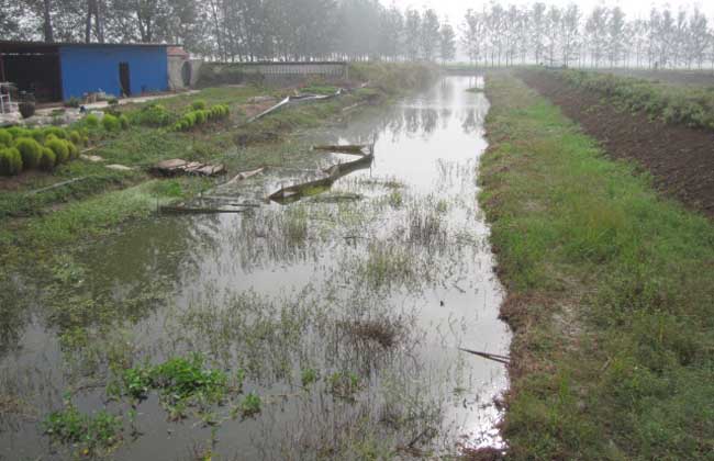 龙虾养殖场地建设