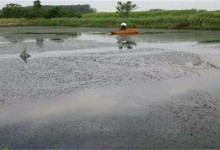 梅雨季节养殖塘该怎么管理