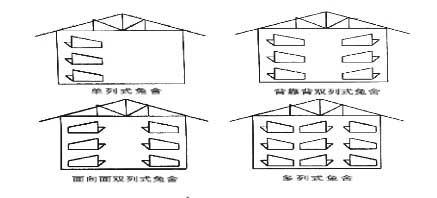 半开放式兔舍兔笼排列平面图