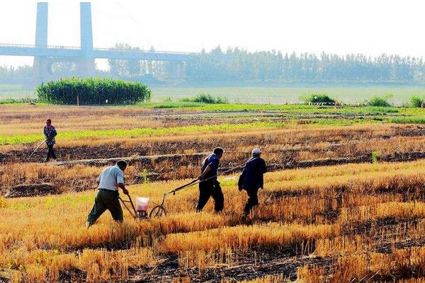 梦见种田是什么意思 女人梦到和别人一起种田有什么预兆