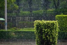 梦见被大雨淋湿是什么意思,女人梦到下大雨淋湿自己有什么预兆