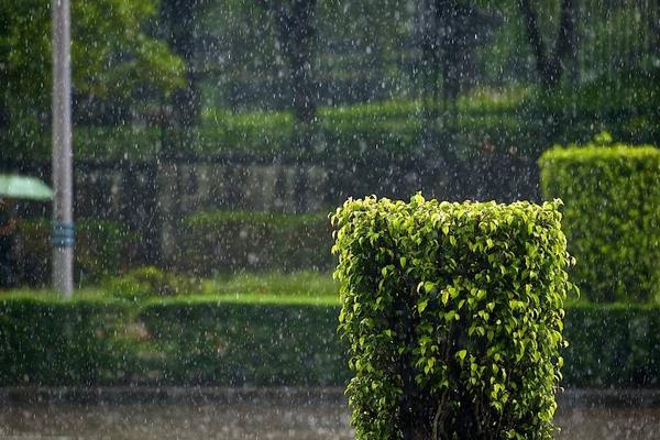 梦见被大雨淋湿是什么意思 女人梦到下大雨淋湿自己有什么预兆