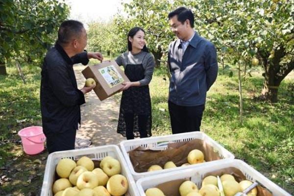 在农村做什么生意受人欢迎 看了这三个项目 你就知道了