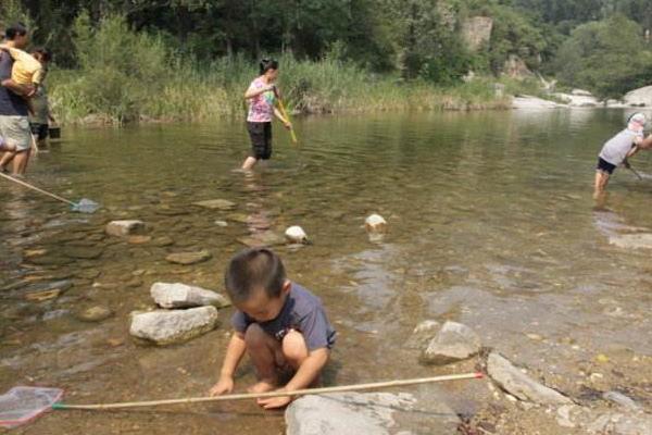 梦见别人捞鱼是什么意思 梦到别人在河里用网捞了很多鱼有什么预兆