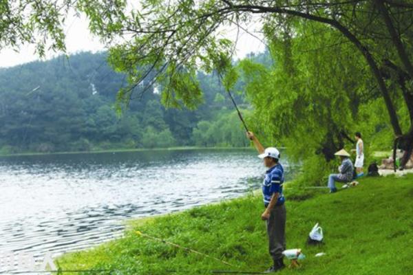 夏季钓鱼技巧（南方、北方） 夏天钓鱼用什么饵