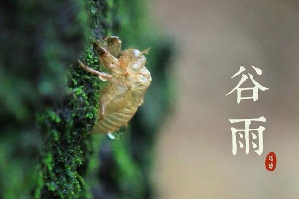 谷雨属于哪个季节（几月） 谷雨的由来