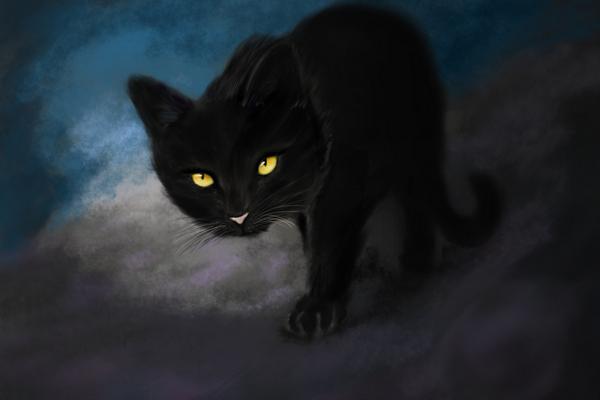 梦见黑猫是什么意思女人梦到黑猫扑向自己有什么预兆