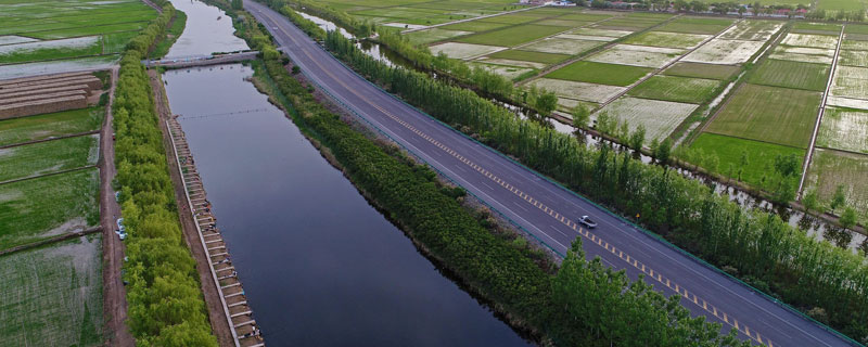 水稻孕穗期可以打灭草松吗