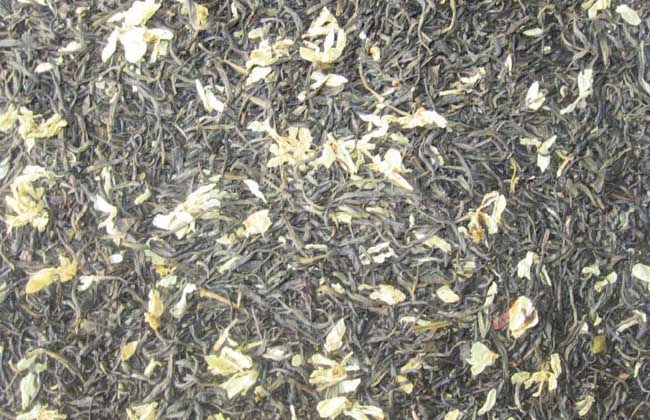 茉莉花茶属于什么茶